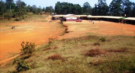 A cleared field of red earth with trees and a low building beyond, the tree-planting site